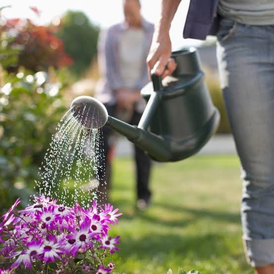 Watering Cans